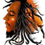 Foto de perfil de Rasta